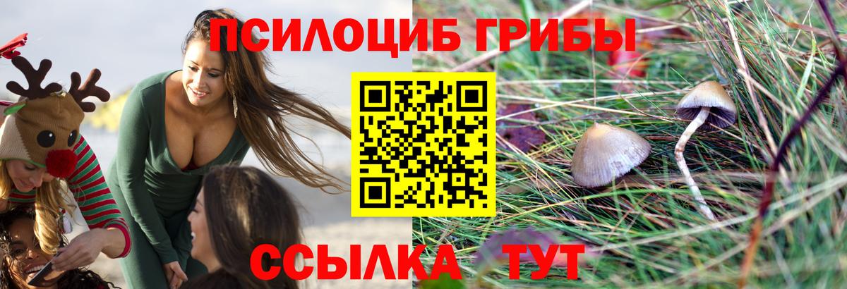 Псилоцибиновые грибы прущие грибы  Вход с VPN  Боровичи 