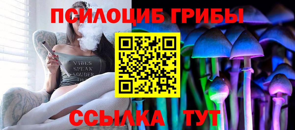 Галлюциногенные грибы Psilocybine cubensis Боровичи